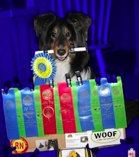 chara award hold blue 200